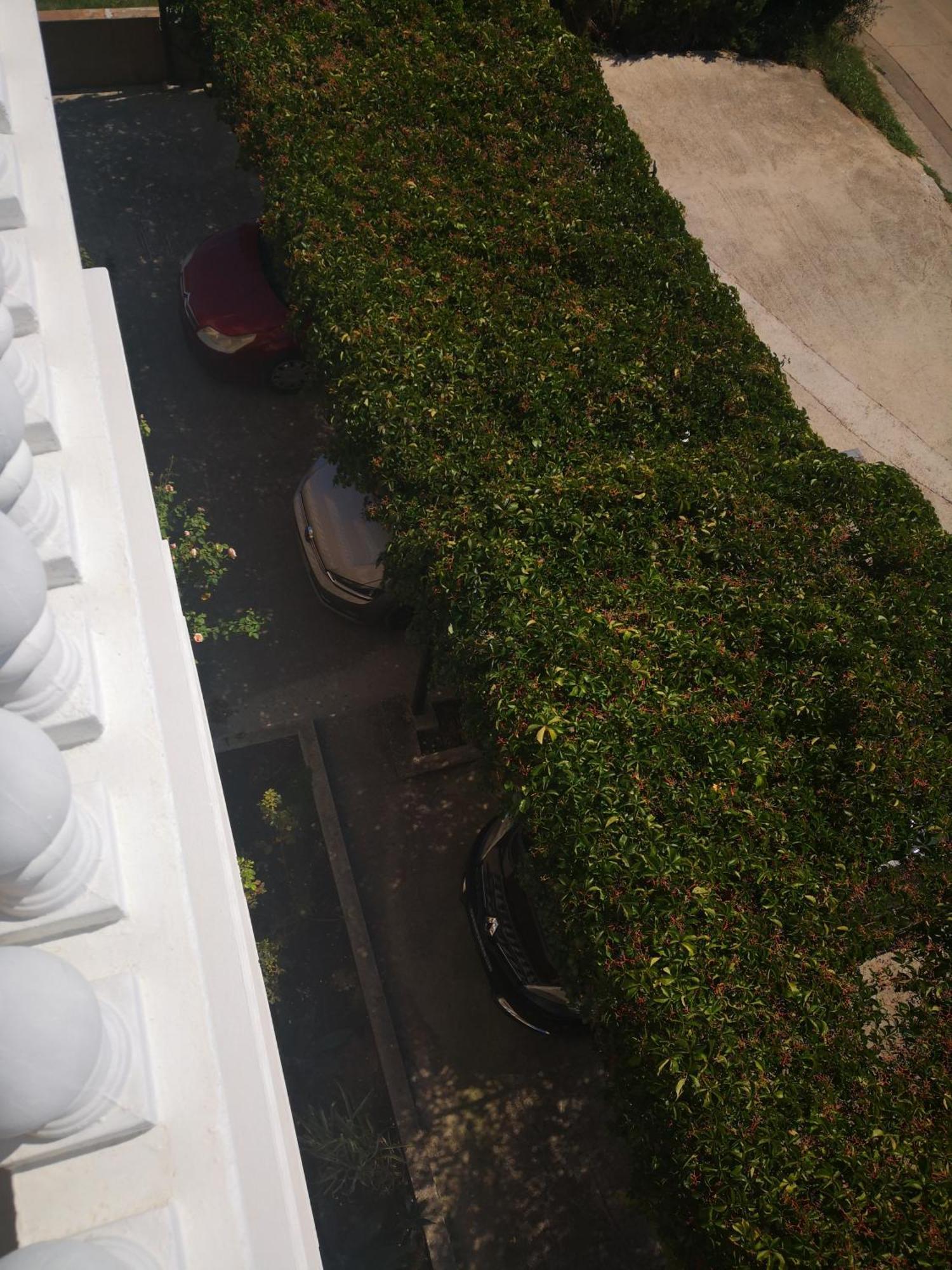 Apartment Plavia Biograd ビオグラード・ナ・モル エクステリア 写真