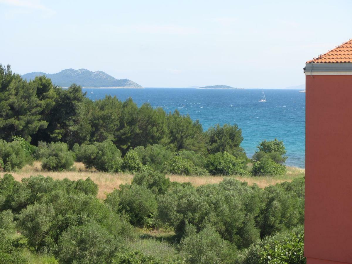 Apartment Plavia Biograd ビオグラード・ナ・モル エクステリア 写真